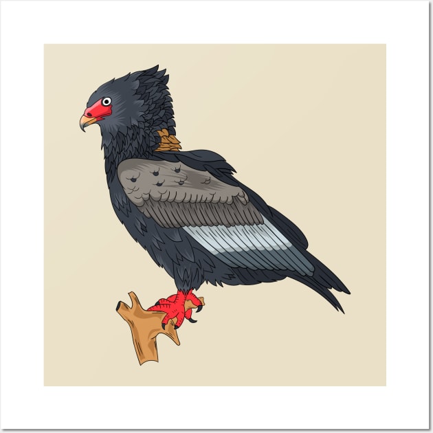 Bateleur Eagle illustration Wall Art by Cartoons of fun